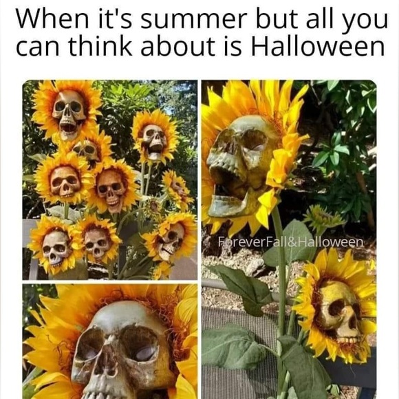 Meet the posher - Picture 3 of 6